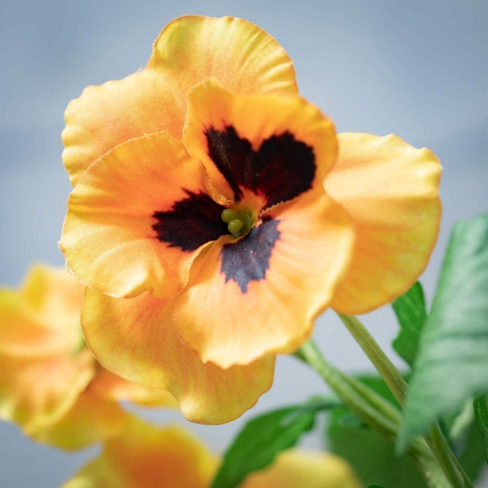 14.5" Vibrant Pansy Spray GA1535