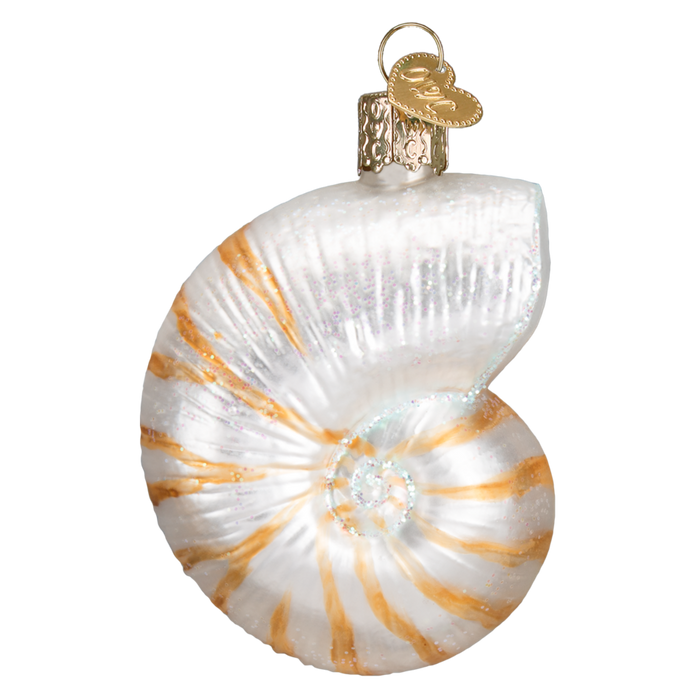 Nautilus Shell 12150 Old World Christmas