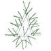 A 20" Pencil Open Wall Tree in Metallic Lime Green, crafted from a triangular metal frame and decorated with metallic green artificial pine branches.